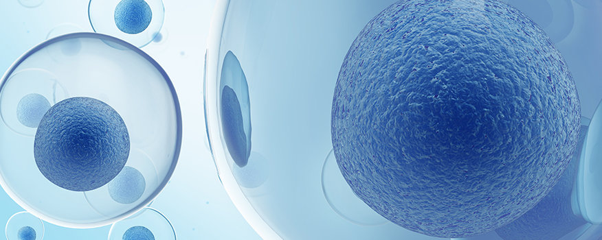 Regenerative Cellular Tissue Richmond, VA